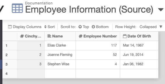 Employee Information Source Table