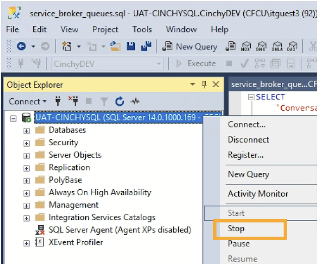 v5.15 (IIS) | Cinchy Documentation