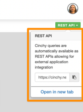 Image 7: Copy your REST API endpoint URL
